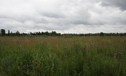 МЖК «Ириновский» (Всеволожск), Ход строительства, Август 2012, фото 2