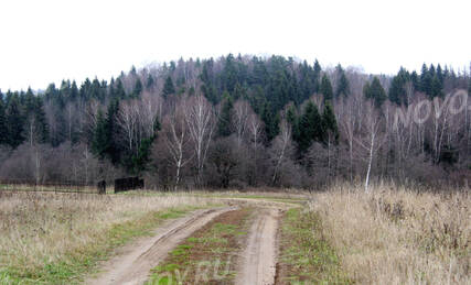 ЖК «Заречный», Ход строительства, Ноябрь 2013, фото 5