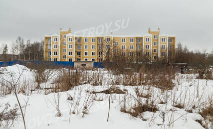 МЖК «в поселке Горбунки (уч. 47)», Ход строительства, Февраль 2015, фото 2