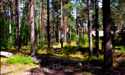 КП «Иннолово», Ход строительства, Май 2021, фото 1