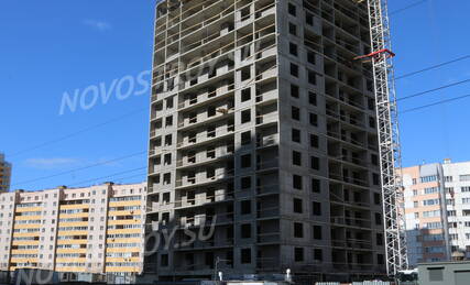 ЖК «Шушары» (Пушкинская), Ход строительства, Май 2022, фото 6