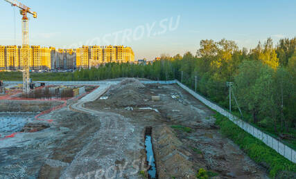 ЖК «Янинский лес», Ход строительства, Июнь 2022, фото 8