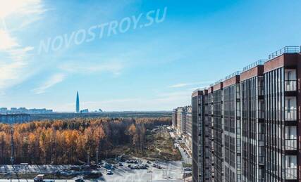 ЖК «Полис Приморский», Ход строительства, Ноябрь 2022, фото 1