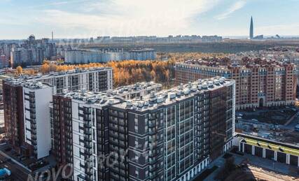 ЖК «Полис Приморский», Ход строительства, Ноябрь 2022, фото 3