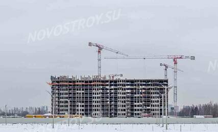 ЖК «Parkolovo» (Парколово), Ход строительства, Январь 2023, фото 8
