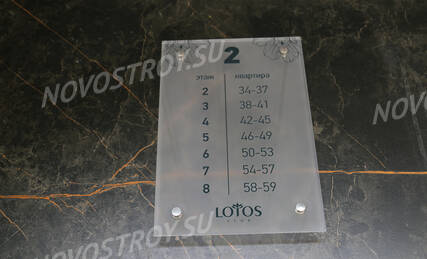 ЖК «Lotos Club» (Лотос Клаб), Ход строительства, Август 2023, фото 19