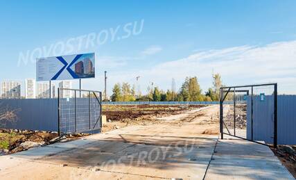ЖК «GloraX Парголово» (Глоракс Парголово), Ход строительства, Октябрь 2023, фото 3