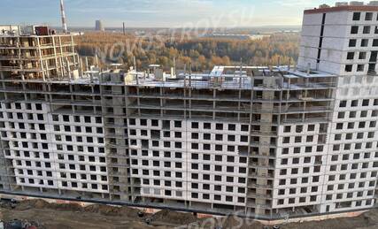 ЖК «Ромашки», Ход строительства, Ноябрь 2023, фото 3