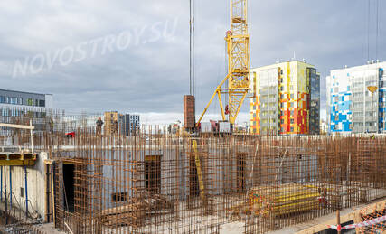 ЖК «IQ Гатчина» (АйКью Гатчина), Ход строительства, Ноябрь 2023, фото 4