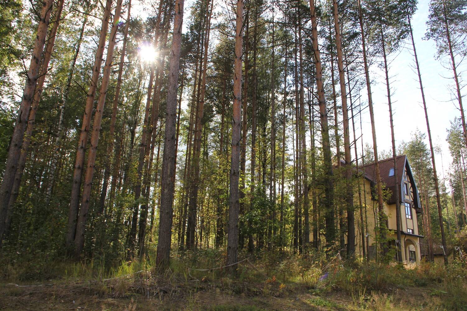 Купить Землю В Борском Районе Нижегородской