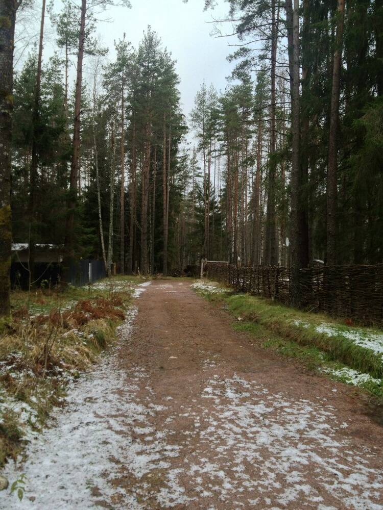 Майнило поселок. КП майнила. Майнила фото. Коттеджный поселок фото.