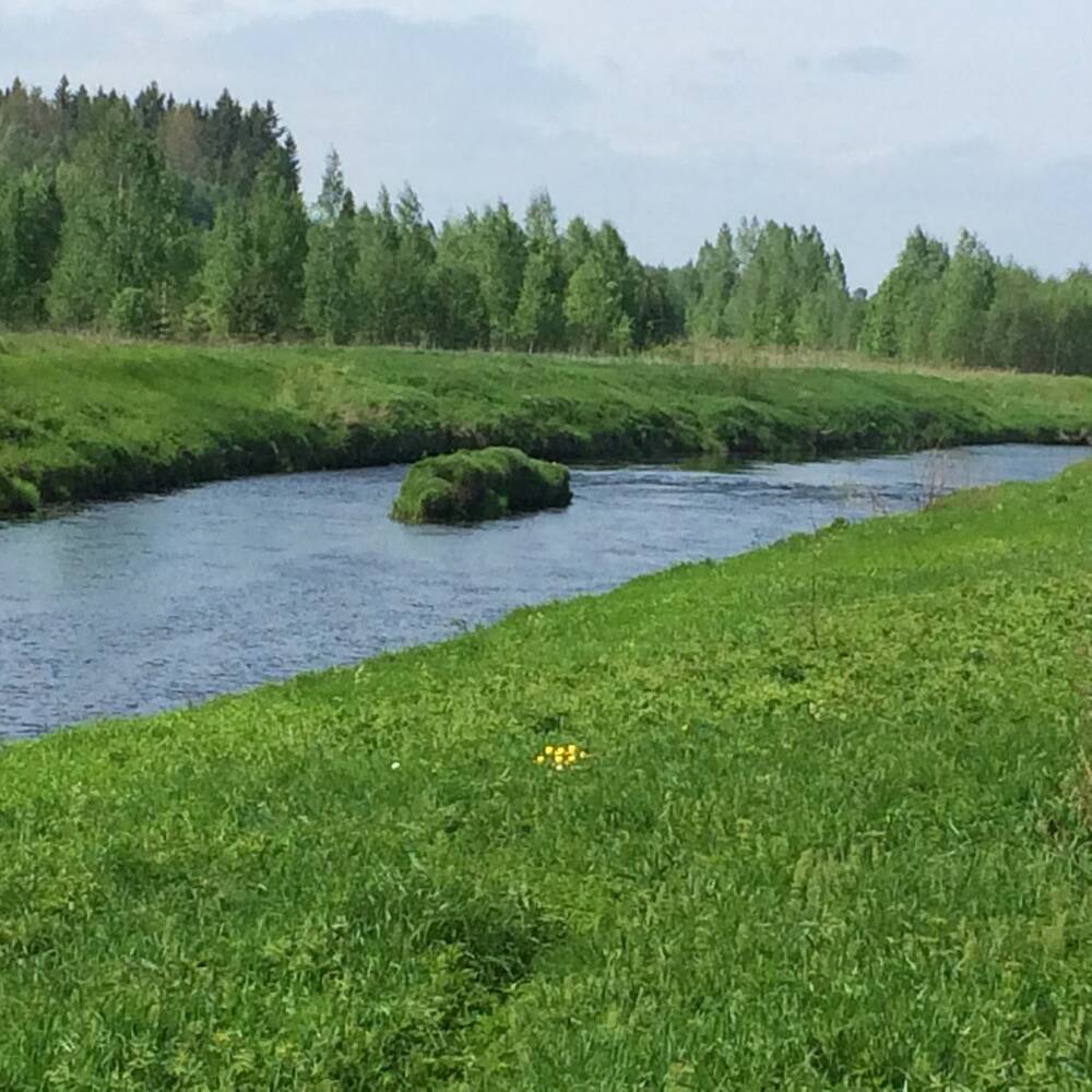 Кп звезды. Поселок звезда Свердловская область. Коттеджный посёлок «звезда на Оредеже» официальный сайт. Фото поселка звезда.