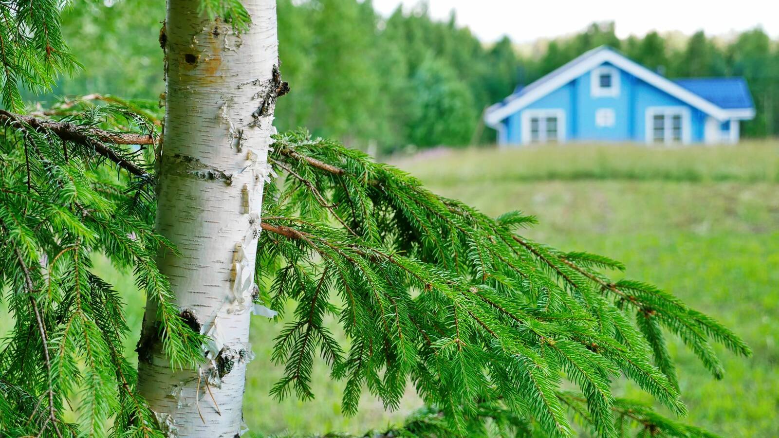 Центральное Раздолье коттеджный поселок. Уральское Раздолье. КП Раздолье Рязань. Лен.обл.Приоз.р-н.бывш.Совхоз Раздолье..