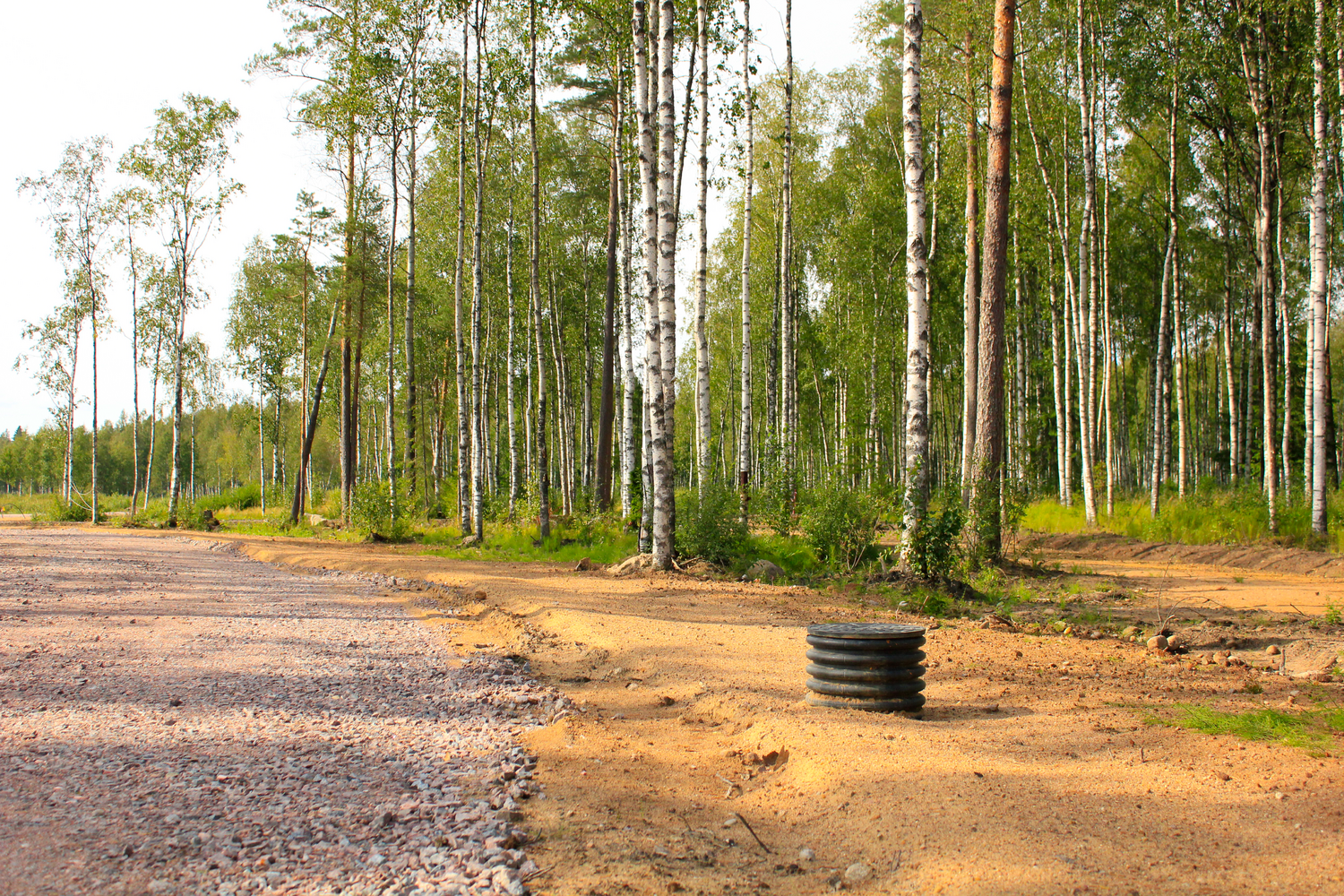 Парк ход. Forest Village Репино. Форест Виладж коттеджный поселок. Олимп групп лес. Олимпгрупп СНТ лес.