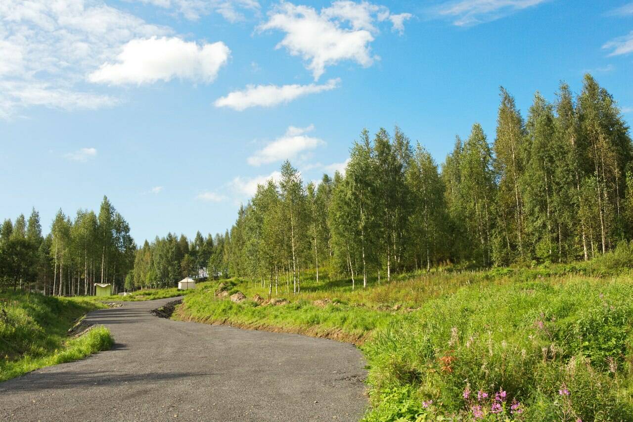 Усадьба В Вартемягах Коттеджный Поселок Купить Участок