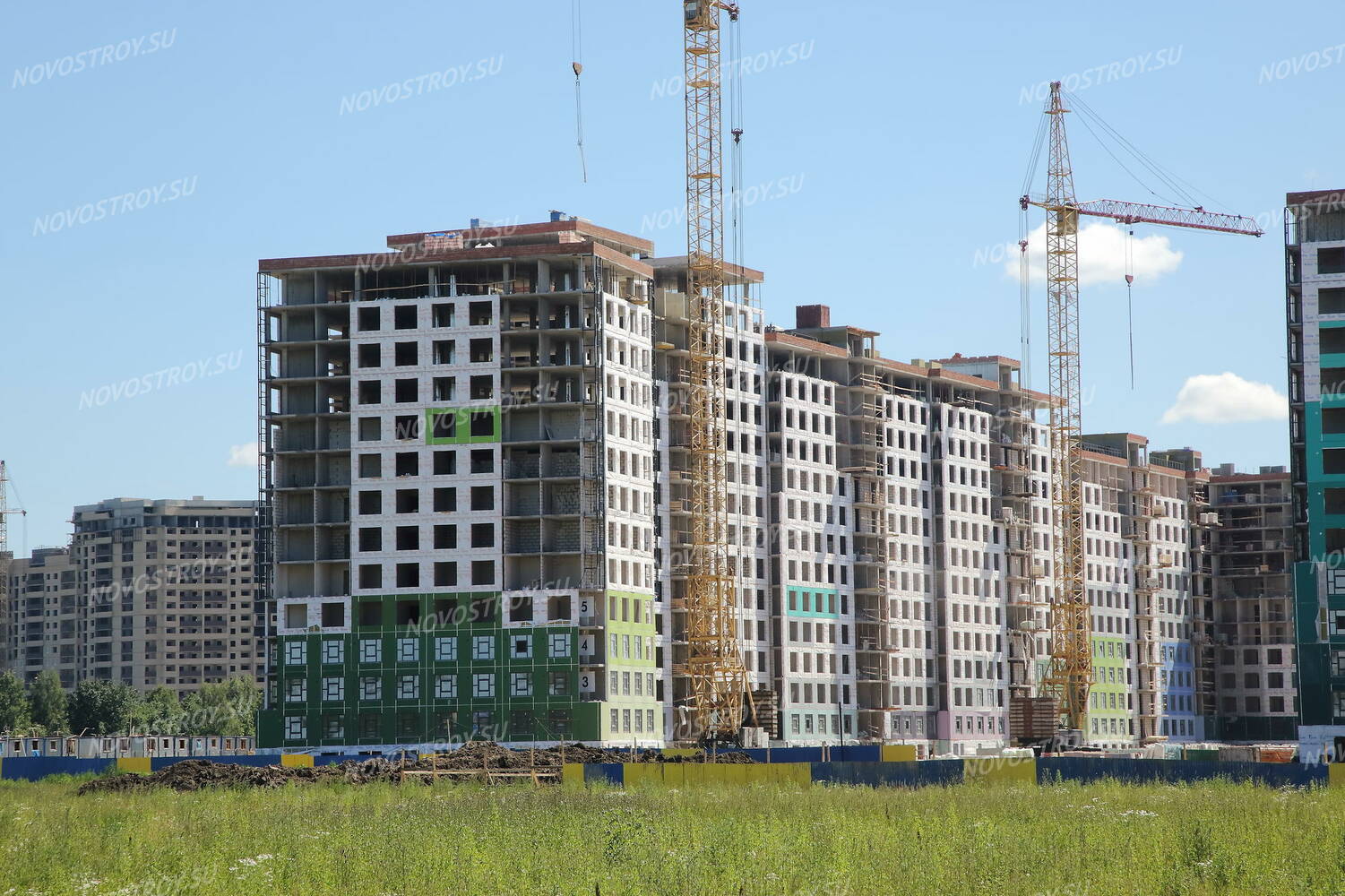 Жк ромашки. ЖК ромашки СПБ. ЖК романтика Мурино. Ромашки Всеволожский район ЖК. ЖК силы природы ход строительства.