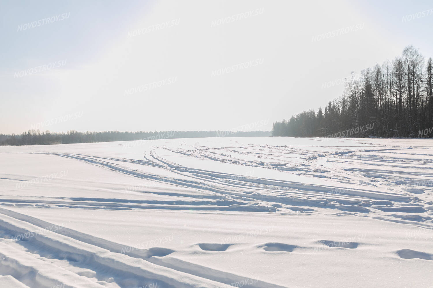 Поле ход