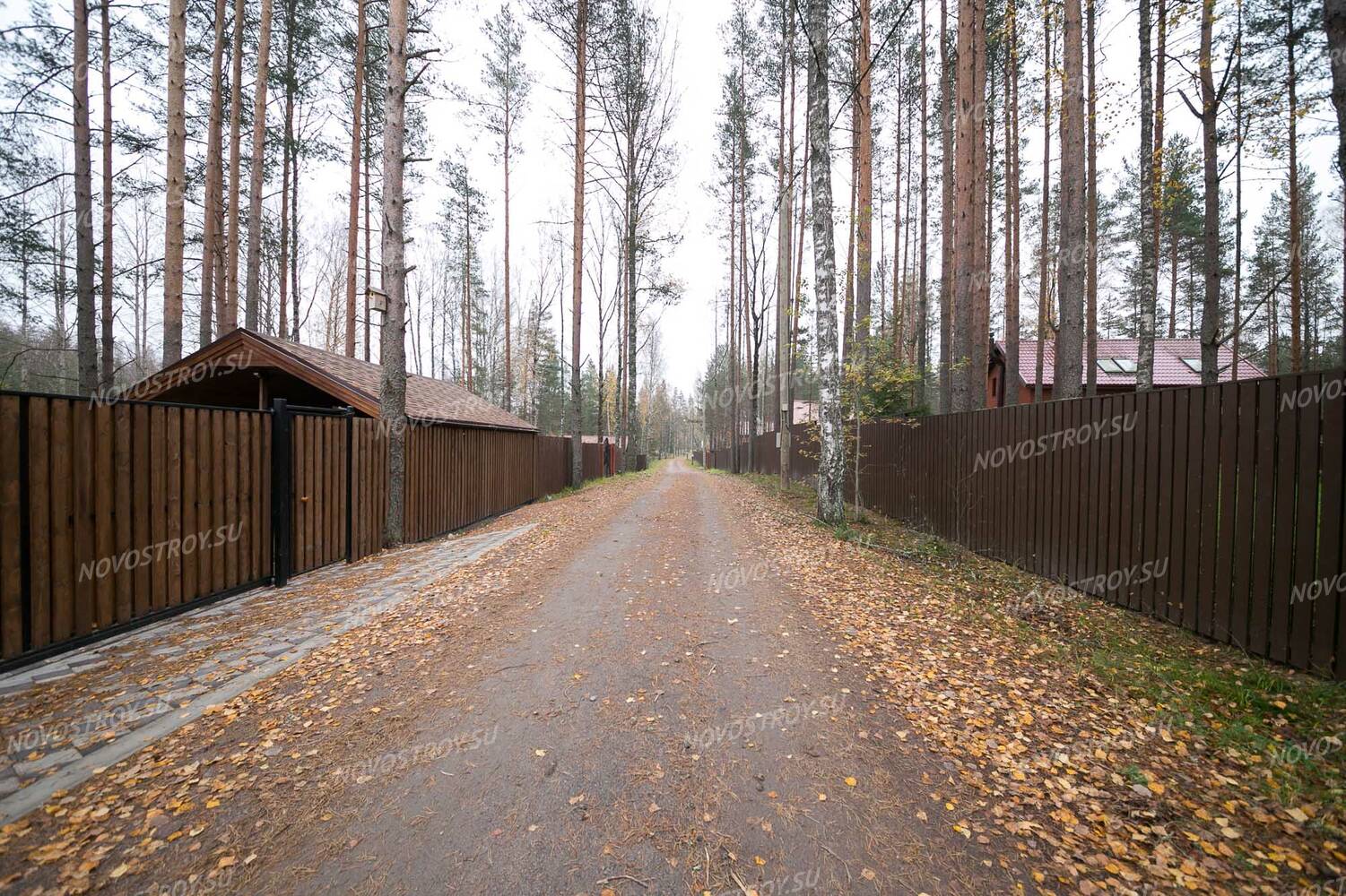 П ровный. Коттеджный поселок Ягодное Выборгский район. Ягодное Ленинградская область коттеджный поселок. Ягодное, коттеджный посёлок Ягодное. Ягодное 2 коттеджный поселок.