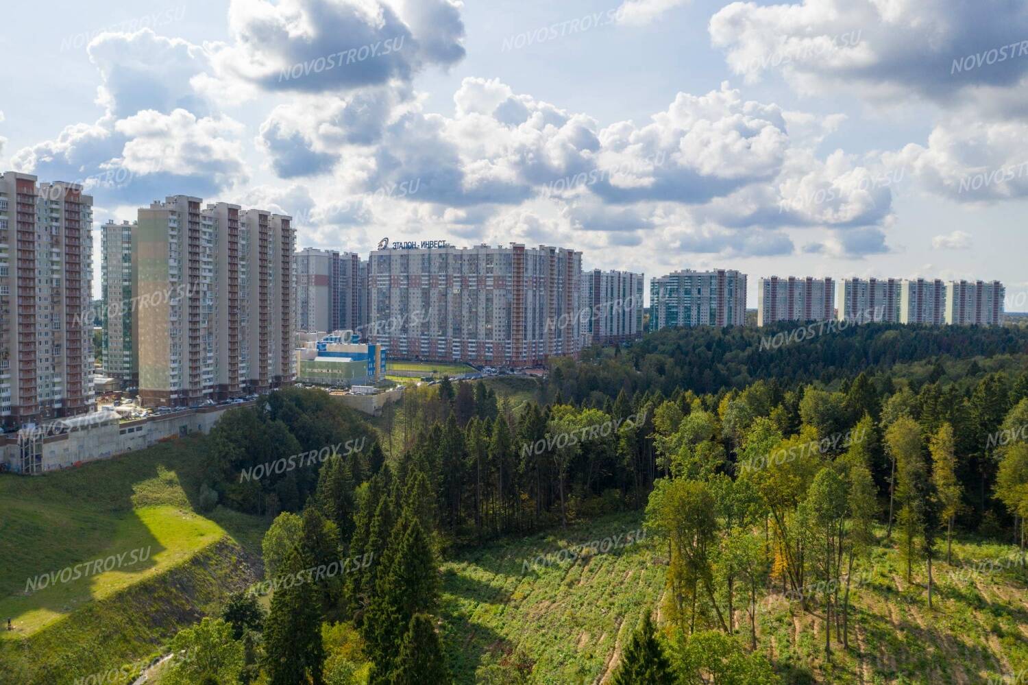 Красногорск жк изумрудные. Изумрудные холмы Красногорск. Зеленые холмы Красногорск. Лес Изумрудные холмы Красногорск. Изумрудные холмы, Красногорск, бульвар Космонавтов.