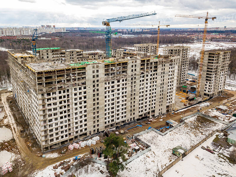 План застройки микрогород в лесу всех очередей