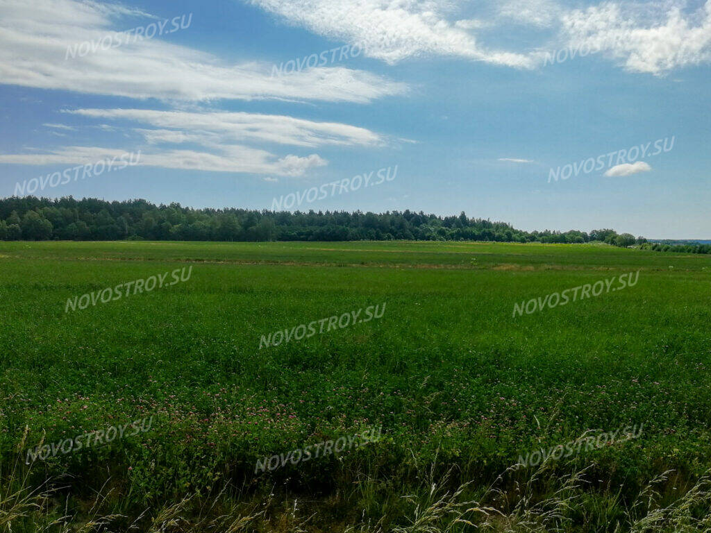 Луговой участок. Посёлок Луговой Дмитровский. Городского поселения Луговой. Поселок луг. Посёлок Дорогали вторые.