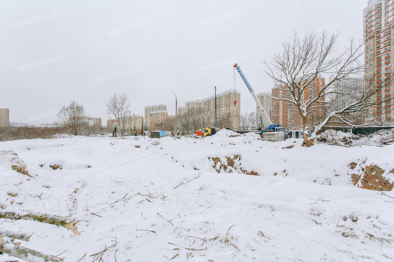 Левел мичуринский презентация