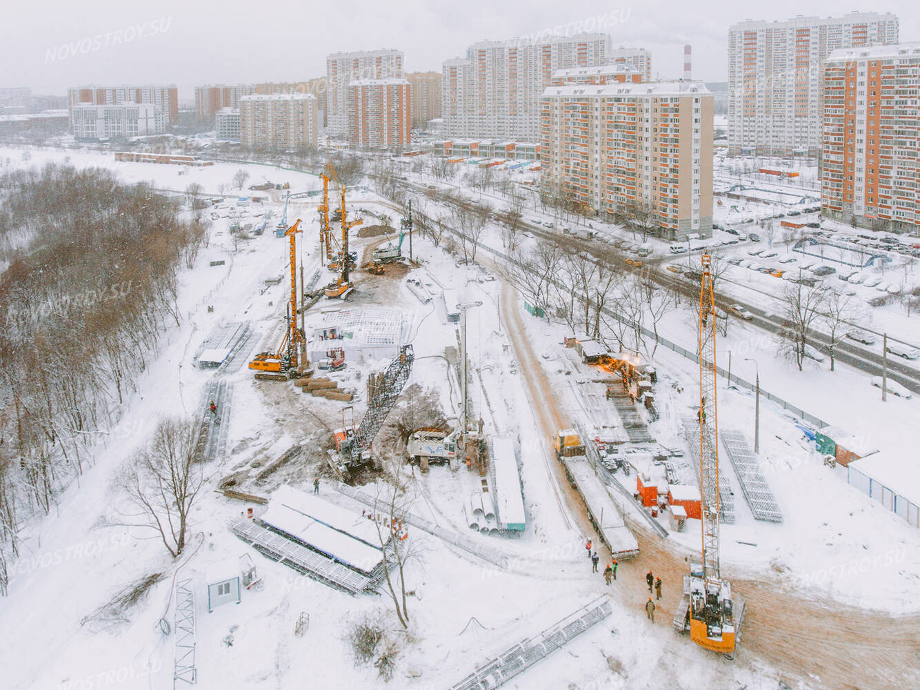 Левел мичуринский презентация