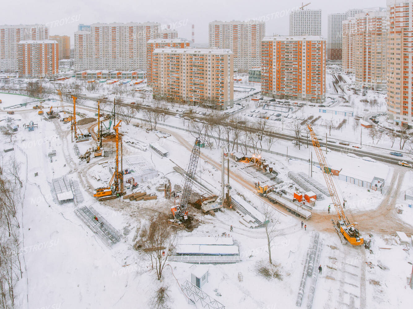 Левел мичуринский презентация