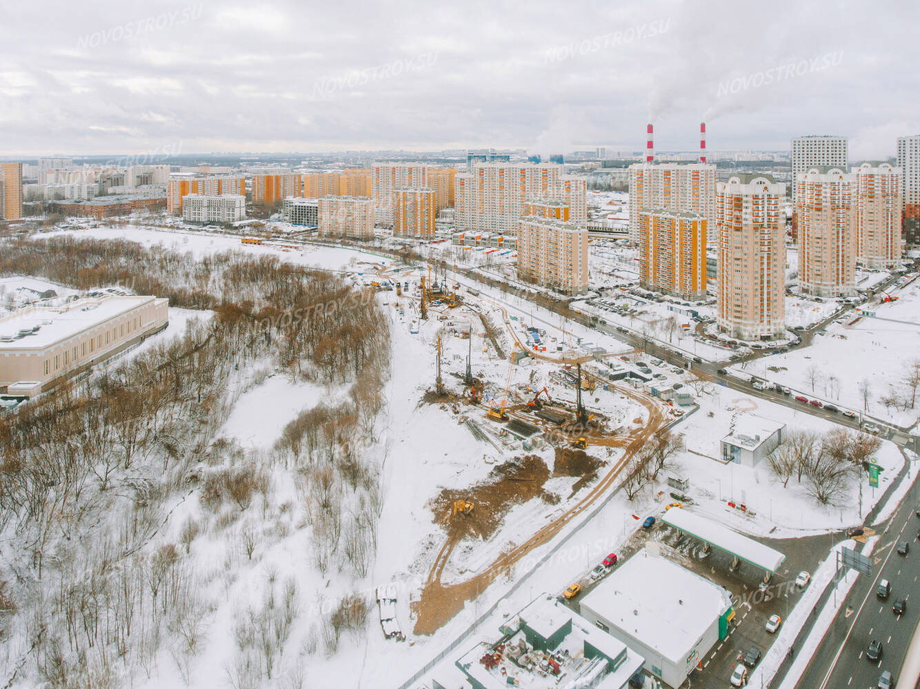 Левел мичуринский презентация