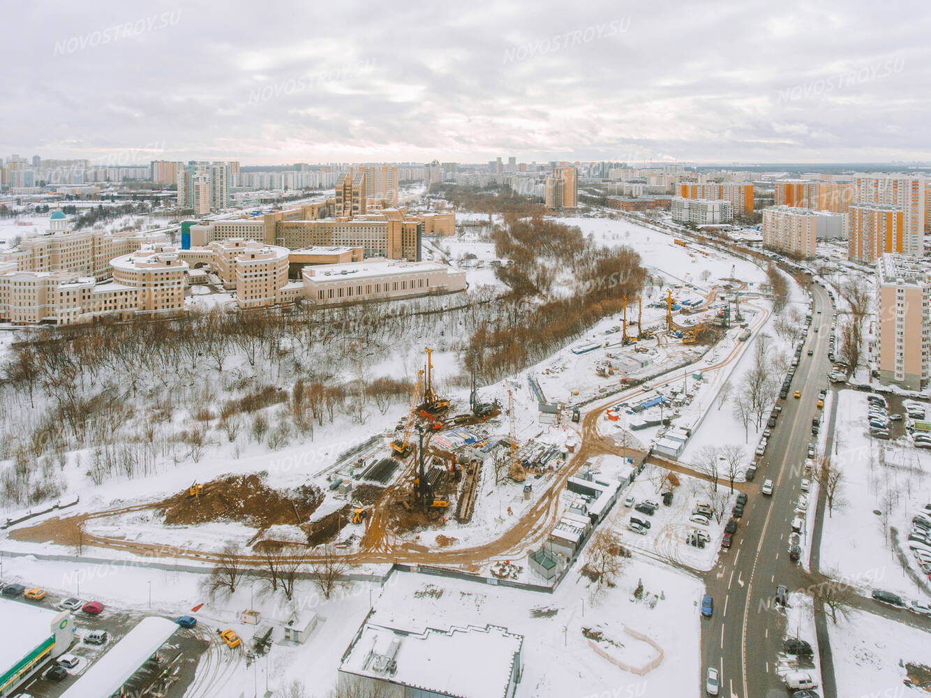 Левел мичуринский презентация