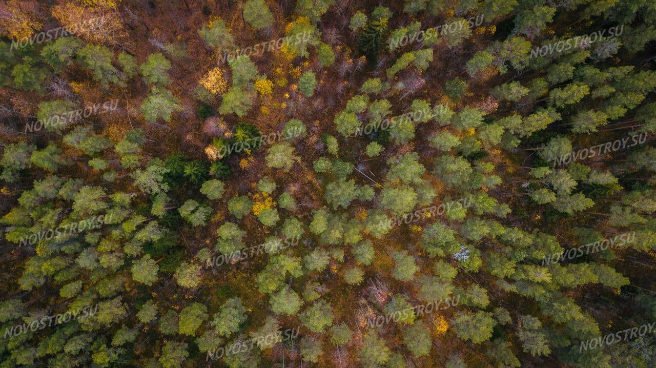 Фото и ход строительства коттеджного поселка Muolaa Village (Поселок  Территория дом – Скандинавия, Поселок Муола Виладж)