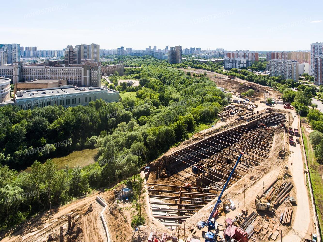 Левел мичуринский презентация