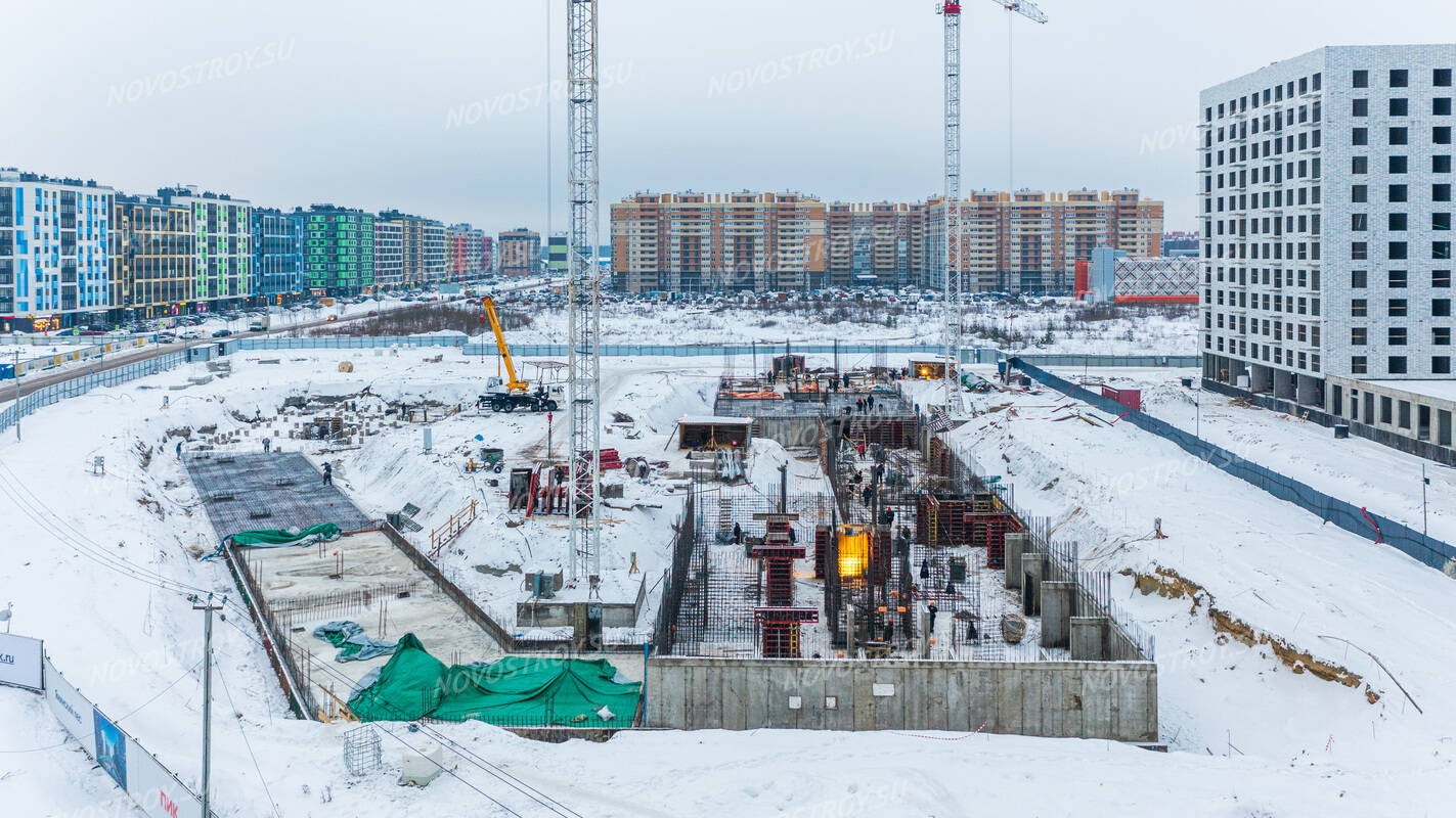 Янинский Лес Купить Квартиру Официальный Сайт