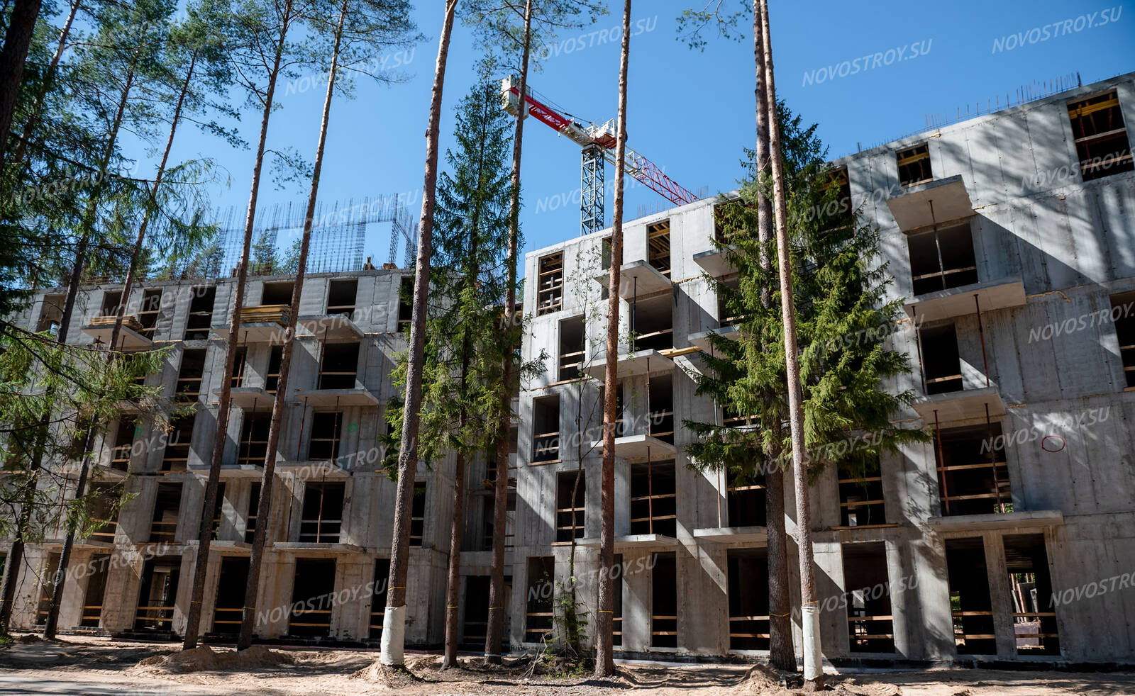 Фото и ход строительства Резиденция Рощино (ЖК Рощино Residence, ЖК Рощино  Резиденс)