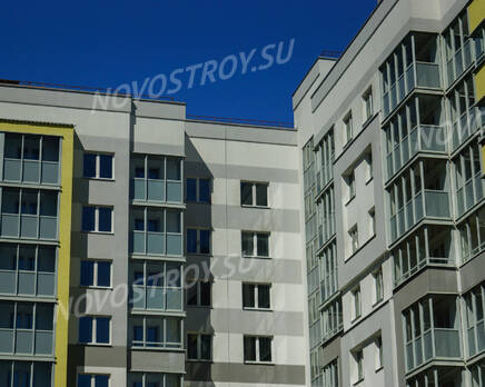 ЖК «Дом в Романовке»: верхние этажи (07.06.15), Июнь 2015