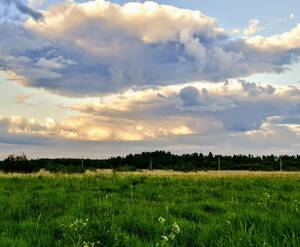 КП «Зеленый лес»