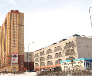 Окрестности жилого комплекса «Дом на Дунайском проспекте» (25.02.2013)