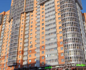 Фасад Дома на Ленинском проспекте, 84 (16.02.2013)