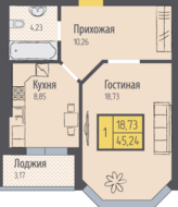 ЖК «Кранц-Парк», планировка 1-комнатной квартиры, 45.24 м²