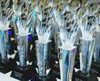 Девелоперы подали 50 заявок на премию Urban Awards