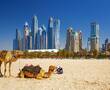 Спрос на недвижимость Дубая взлетел на 44% за месяц. Цены растут умеренно, а вот аренда дорожает чуть ли не на 50% в месяц