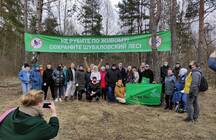 ЗакС и петербуржцы «атакуют» местного застройщика: они требуют от Беглова запретить строительство в пользу сохранения леса