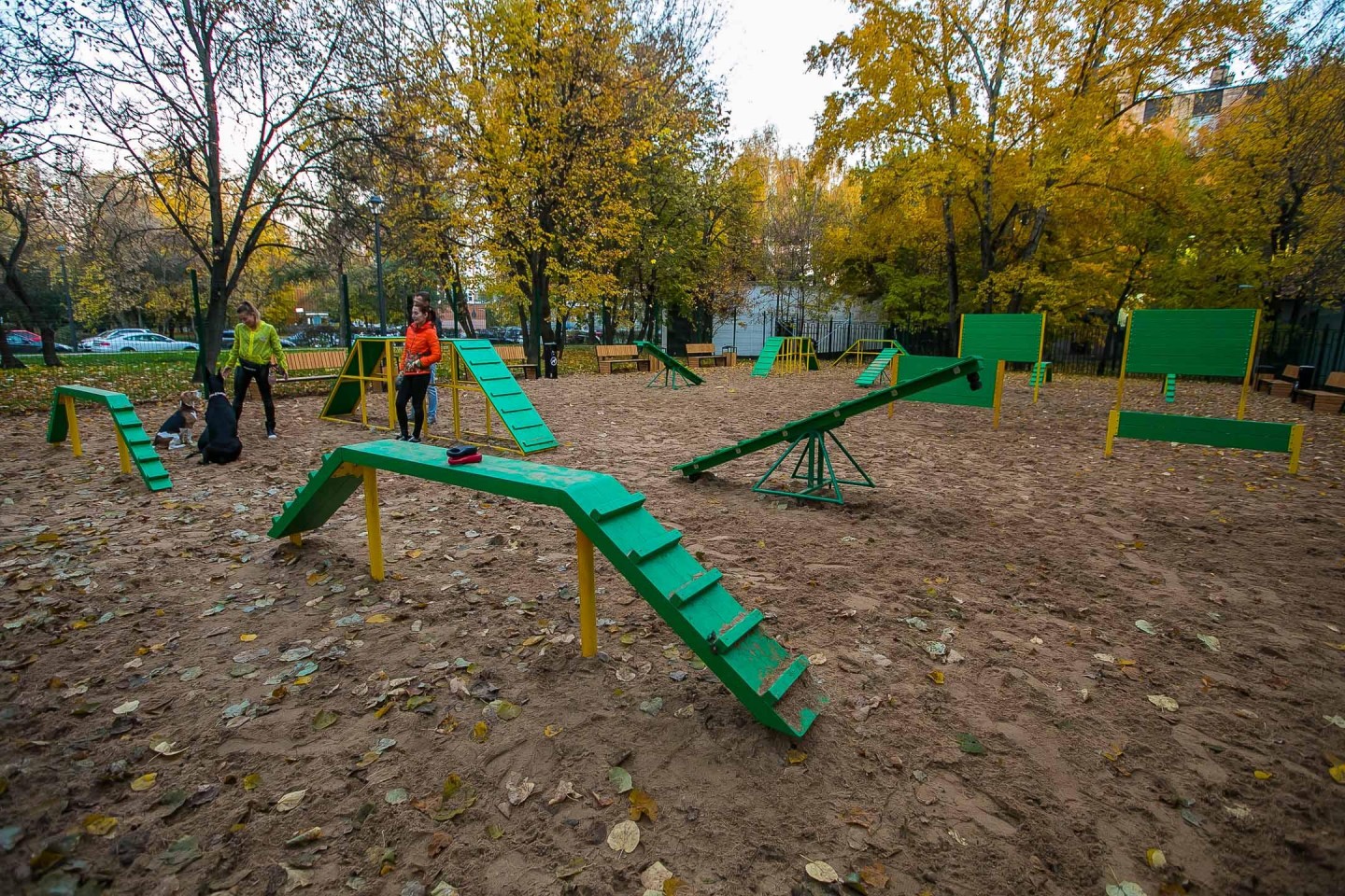 Площадка свободна. Собачья площадка Муринский парк. Площадка для собак парк Собино. Собачья площадка Подольск парковый. Парк для собак СПБ.